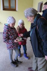 IMG_0495.JPG - 